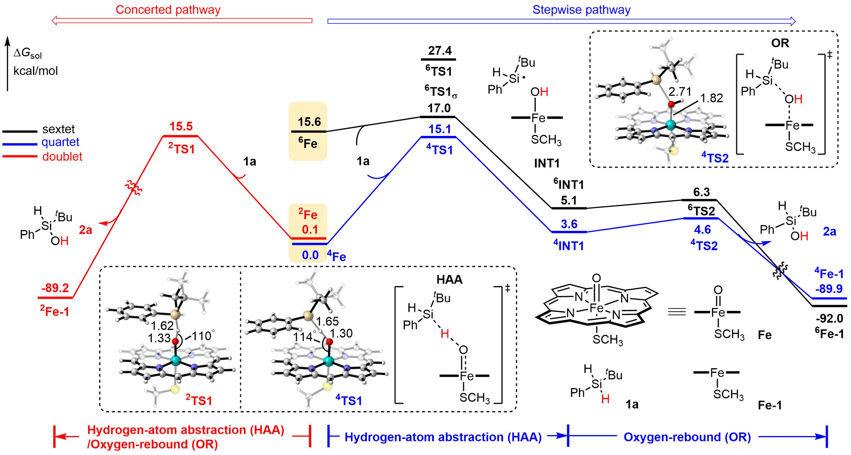 20250407-Angew. Chem.&nbsp;-刘臻-4. 基于密度泛函理论（DFT）进行的机理计算.jpg