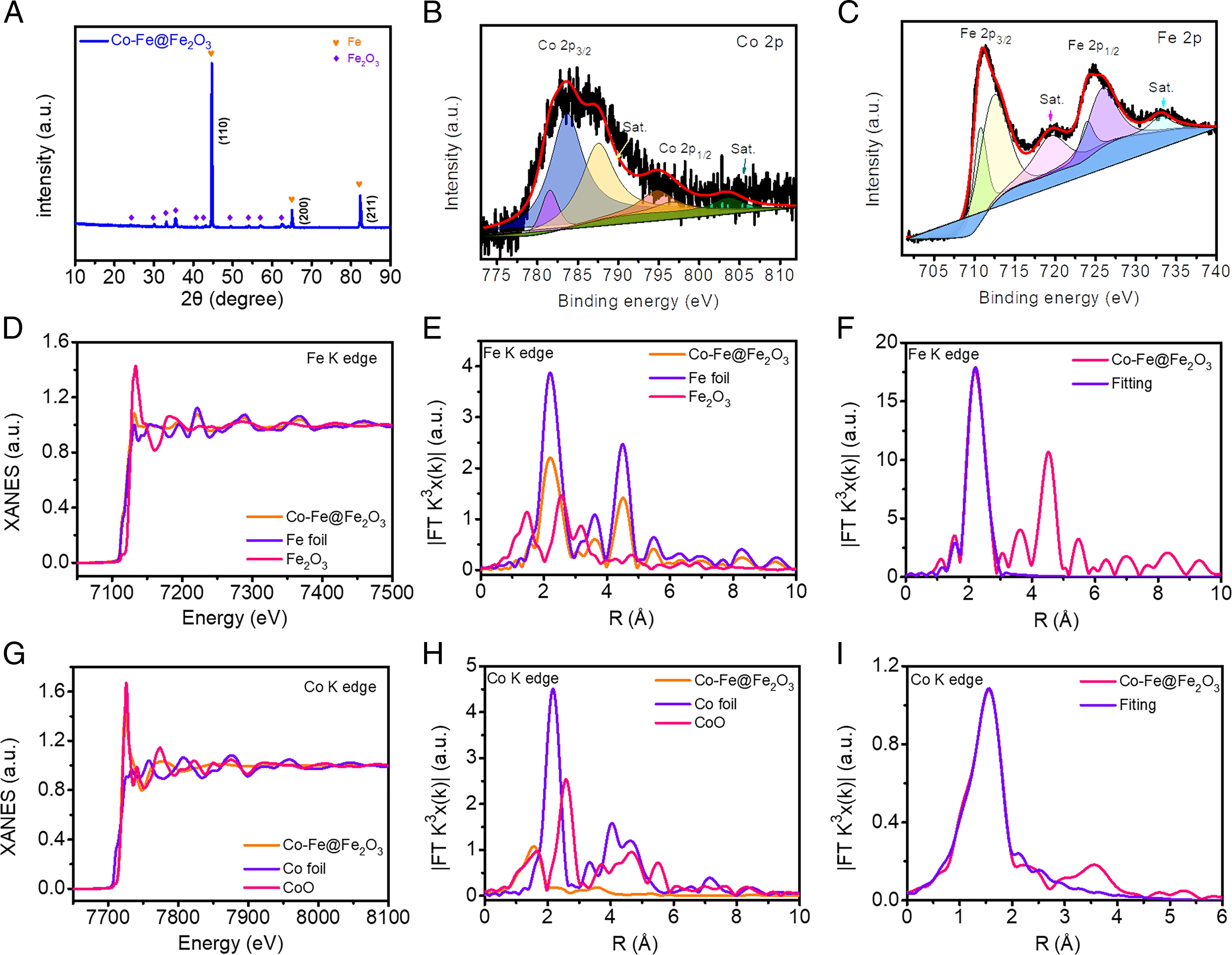 20220414-环境学院李淼副教授课题组开发钴掺杂铁基催化剂实现高效硝酸盐污染去除和可持续能源回收-李淼-图2 Co-Fe@Fe2O3结构表征.jpg