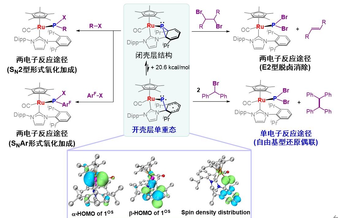 20251106-化学系张韶光研究组发展了磷中心活化碳–卤键的单电子与双电子反应途径-化学系-2.jpg