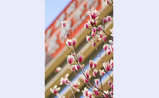 空白背景1new - 副本.jpg