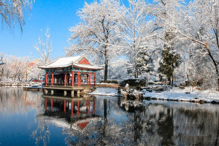 20250423-114 周年校庆|清华大学离退休教职工书画作品展和摄影作品展开幕-段鸿杰-作品名称:《校园雪韵》作者:费润升.png