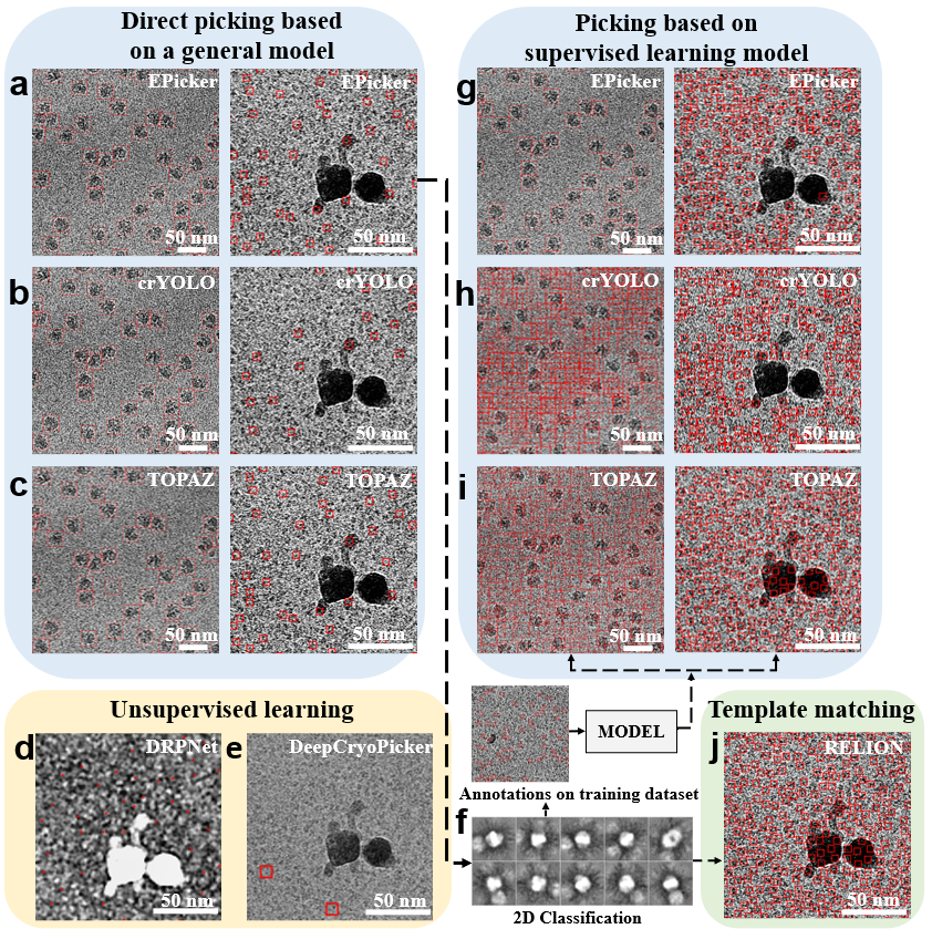 20220505-李雪明-论文-成果图片2.png 20220505-李雪明-论文-成果图片2.png