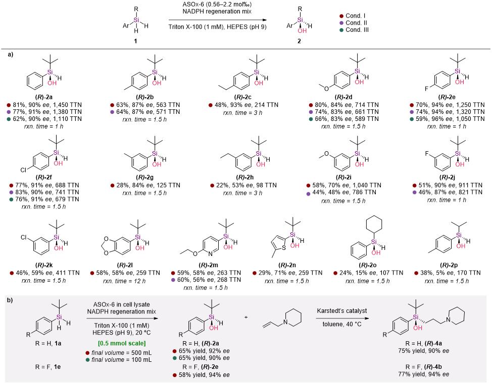 20250407-Angew. Chem.&nbsp;-刘臻-3. 底物适用性拓展与合成应用探索.jpg