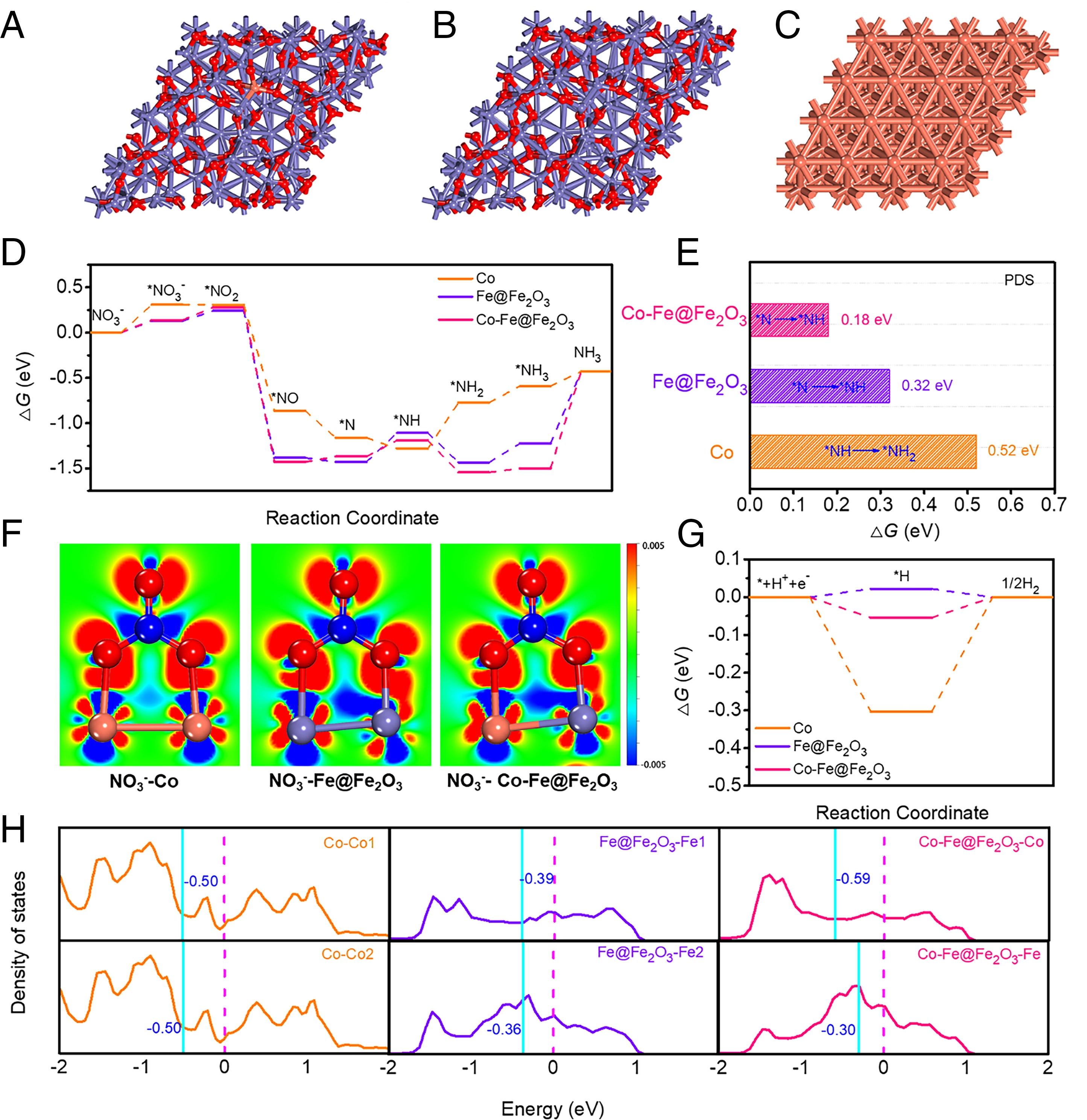 20220414-环境学院李淼副教授课题组开发钴掺杂铁基催化剂实现高效硝酸盐污染去除和可持续能源回收-李淼-图3 反应机理示意图.jpg