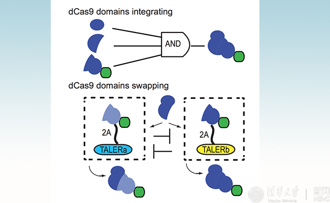 空白背景 - 副本.jpg
